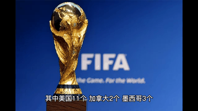 开云体育平台APP-加拿大足球队争取入围国际冠军联赛，实力雄厚的简单介绍