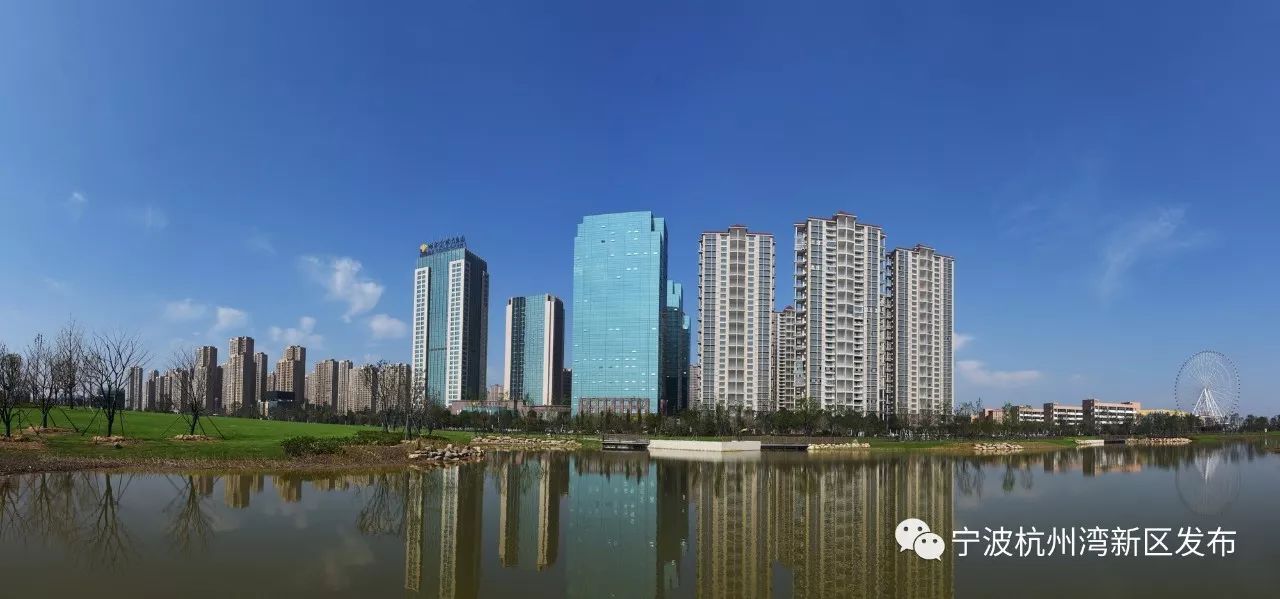 杭州钢丝球对决长春东方,实力对比明显 杭州钢丝球对决长春东方,实力对比明显