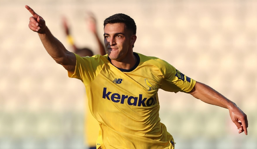 开云体育入口-海豚队实力悬殊，难敌对手