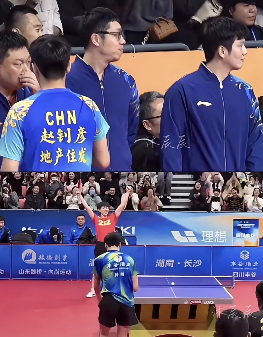 德国队绝杀中国队,许昕扛起全队 德国队绝杀中国队,许昕扛起全队