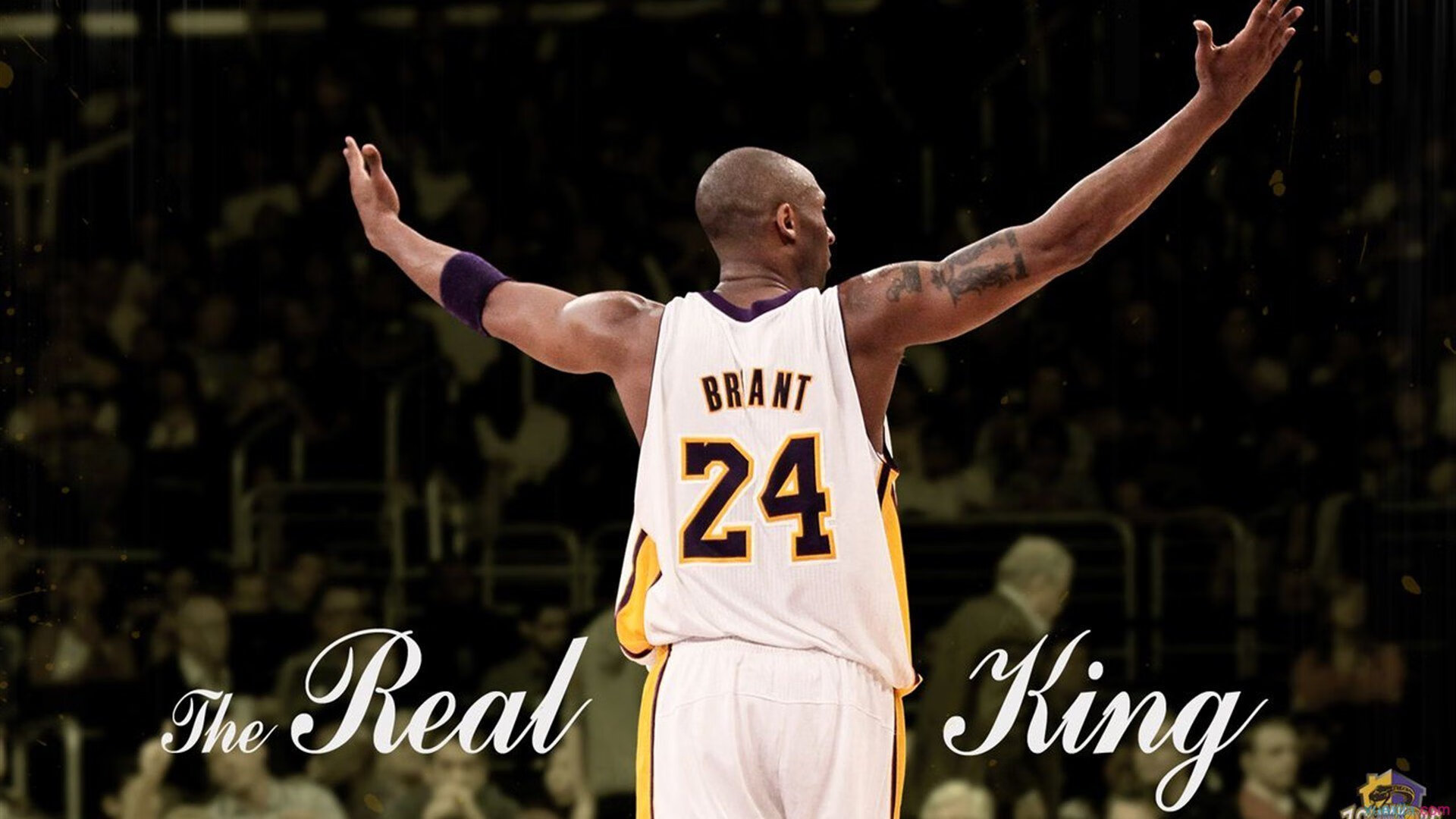 开云体育-时空裂隙，爱德华兹48分焚天焰，凯尔特人跨维度击溃山西